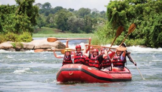 nile-whitewater-650x350