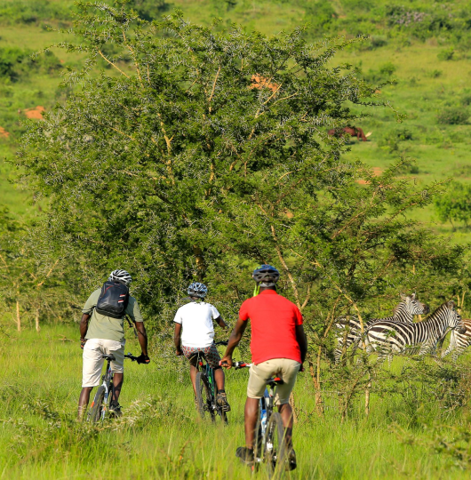 PNG image-1 PNG image-1